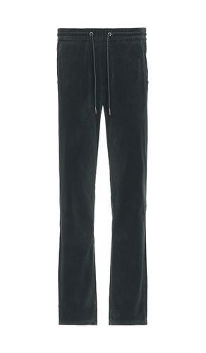 Saturday Corduroy Slim Straight Pant in . Size M, XL/1X - Marine Layer - Modalova