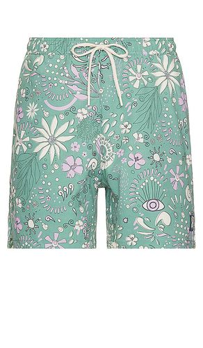 Way stretch swim trunk en color verde talla S en - Green. Talla S (también en XL/1X) - Marine Layer - Modalova