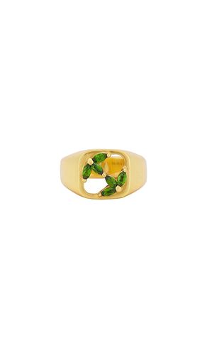 Am Signet Ring in . Size 9. Also in 10, 11 - MAPLE - Modalova