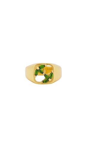 Am Signet Ring in . Size 9 - MAPLE - Modalova