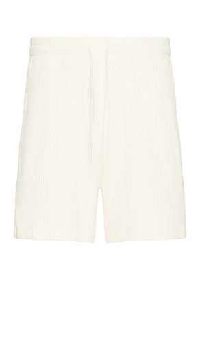 Waffle Shorts in . Taglia S, XL/1X - Nikben - Modalova