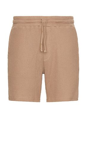 Waffle Shorts in . Size XL/1X - Nikben - Modalova