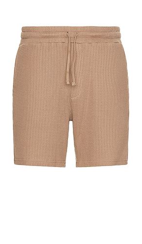 Waffle Shorts in . Taglia XL/1X - Nikben - Modalova