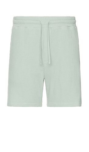 Waffle Shorts in . Taglia M, S, XL/1X - Nikben - Modalova