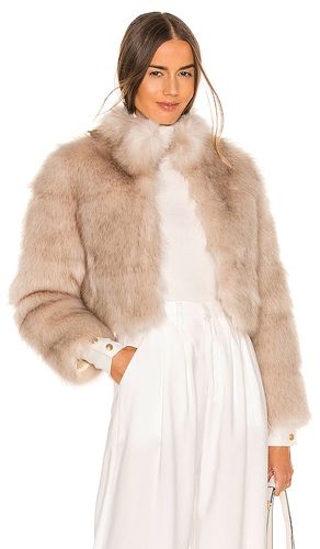 Tatiana Faux Fur Jacket in . Size M, XL, XS - Nookie - Modalova