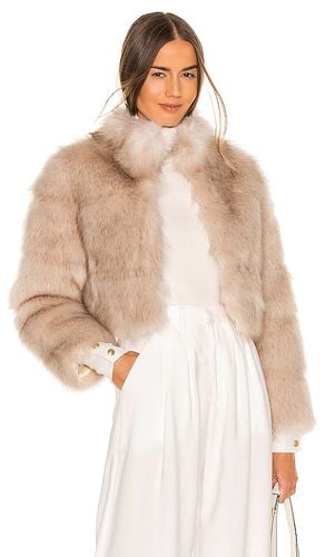 Tatiana Faux Fur Jacket in . Size XL - Nookie - Modalova