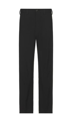 Paw Pants in . Size 30, 31, 32, 34 - NN07 - Modalova