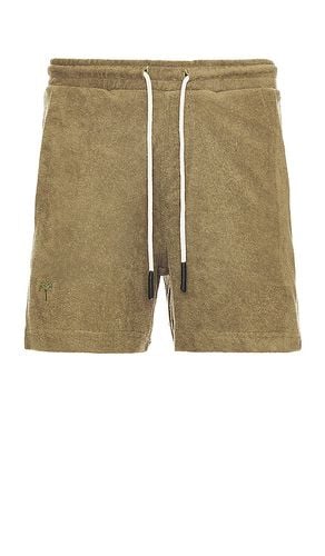 Terry Shorts in . Size S, XL/1X - OAS - Modalova