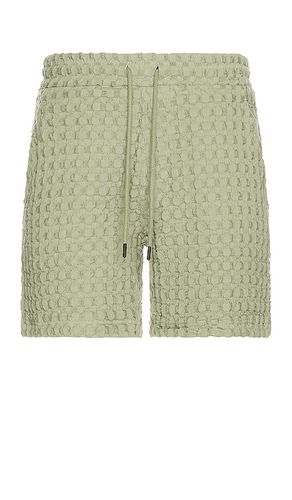 Dusty green porto waffle shorts en color talla L en - Green. Talla L (también en M, S, XL/1X, XS) - OAS - Modalova