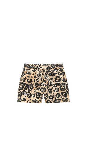 OAS BADESHORTS in Brown. Size 4, 6 - OAS - Modalova