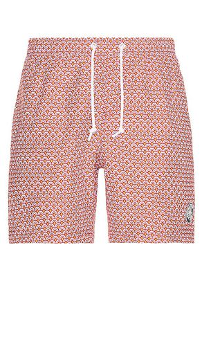 Recycled Poly Swim Short in . Taglia S - Original Penguin - Modalova