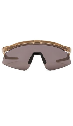 Oakley Hydra Sunglasses in Brown - Oakley - Modalova