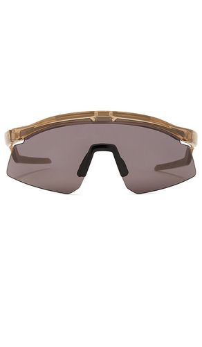 Oakley SONNENBRILLE HYDRA in Brown - Oakley - Modalova