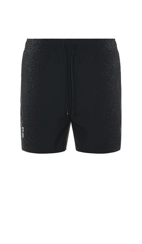 Court Shorts in . Size L. Also in XL/1X - On - Modalova