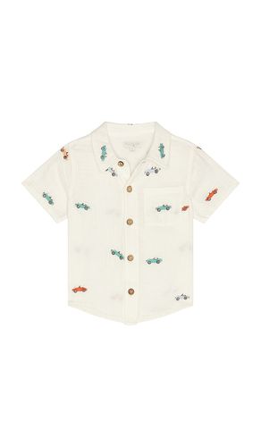 Boys Jack Shirt in . Size 2. Also in 4, 5 - Pink Chicken - Modalova