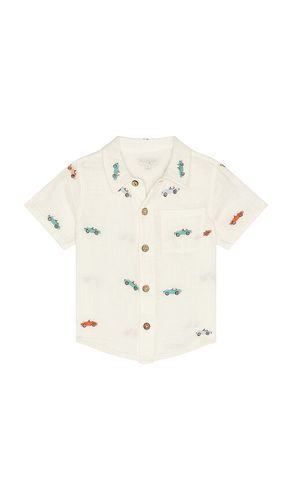 Boys Jack Shirt in . Size 2. Also in 5 - Pink Chicken - Modalova