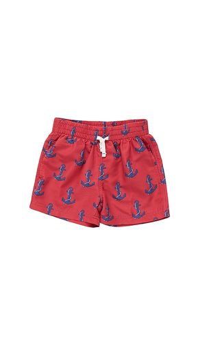 Boys Swim Trunk in . Size 2. Also in 3, 4 - Pink Chicken - Modalova