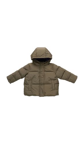 Pete Puffer in . Taglia 3. Also in 6 - Pink Chicken - Modalova