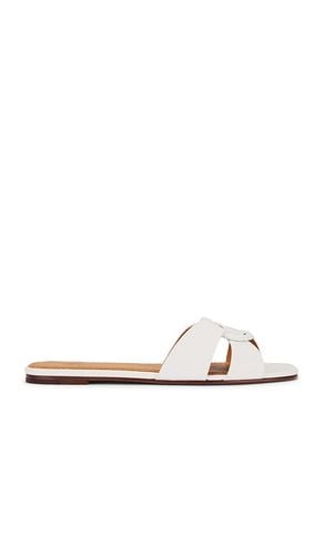 Shiny Drum Pebble Sandal in . Size 6, 7, 7.5, 8, 9 - Polo Ralph Lauren - Modalova