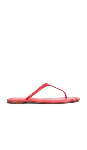 Nappa Thong Flat Sandals in . Size 6. Also in 7, 8, 8.5, 10 - Polo Ralph Lauren - Modalova