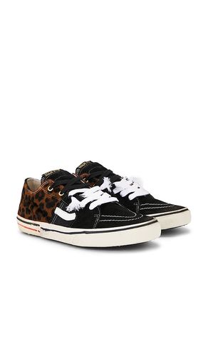 Caly Star Low Sneakers in ,. Size 41. Also in 43, 44, 45, 46 - Paul Easterlin - Modalova