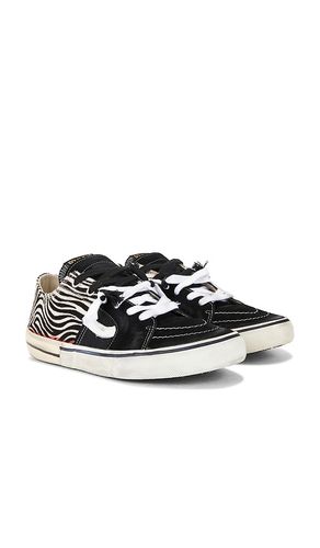 Caly Star Low Sneakers in . Size 41. Also in 42, 43 - Paul Easterlin - Modalova
