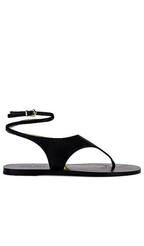 Amalfi Flat Sandal in . Size 11, 6.5, 7, 7.5, 9.5 - Paris Texas - Modalova