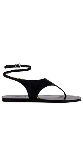 Amalfi Flat Sandal in . Size 11, 8.5, 9.5 - Paris Texas - Modalova