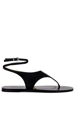 Amalfi Flat Sandal in . Taglia 11, 8.5 - Paris Texas - Modalova