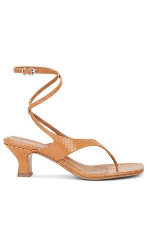 Portofino Lace Up Sandal in . Size 6.5, 7, 7.5, 8, 8.5, 9 - Paris Texas - Modalova