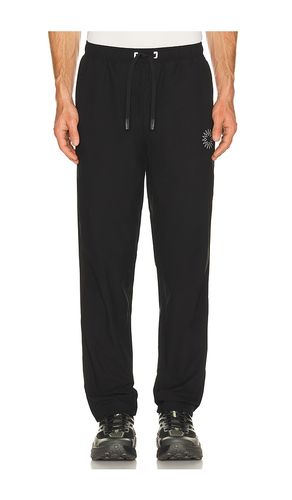 Cross Train Jogger in . Size M. Also in L, XL/1X - Paradise Zero - Modalova