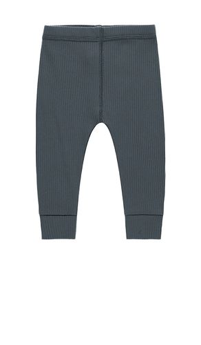 Kids Ribbed Legging in . Taglia 18-24M, 2-3yr, 4-5yr - QUINCY MAE - Modalova