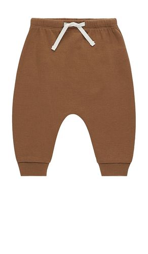 Pantalón deportivo en color marrón talla 12-18M en - Brown. Talla 12-18M (también en 18-24M, 2-3yr, 4-5yr) - QUINCY MAE - Modalova