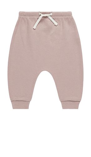 Kids Sweatpant in . Taglia 18-24M, 2-3yr, 4-5yr - QUINCY MAE - Modalova