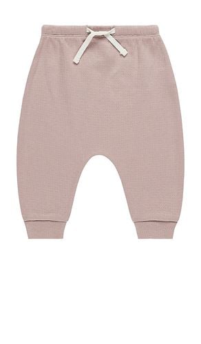 Kids Sweatpant in . Taglia 4-5yr - QUINCY MAE - Modalova