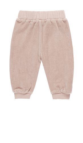 Kids Velour Relaxed Sweatpant in . Size 18-24M, 2-3yr, 4-5yr - QUINCY MAE - Modalova