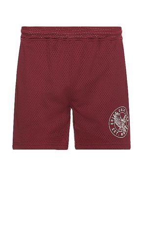 SHORTS in . Size M, XL/1X - Quiet Golf - Modalova