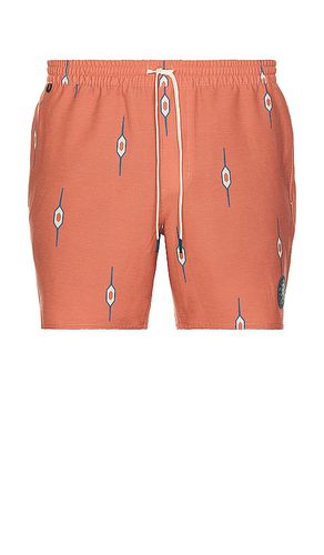 Shorey 16 Swim Short in . Taglia M, S, XL/1X - ROARK - Modalova