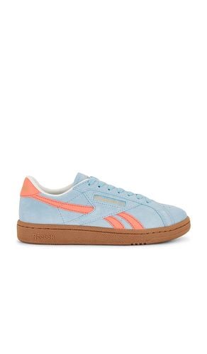 Club C Grounds UK Sneaker in . Size 8 - Reebok - Modalova