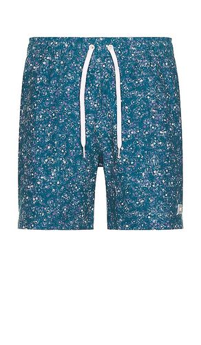 Rhone BADEHOSE in Blue. Size XL/1X - Rhone - Modalova