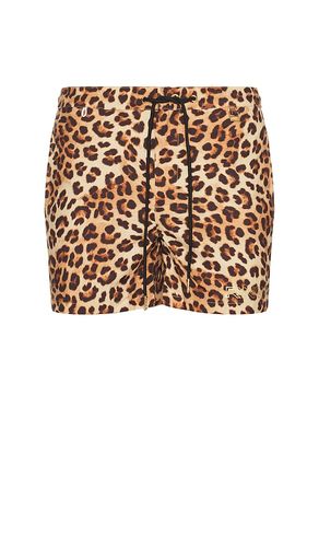 Amalfi Boardshort in Leopard in . Size L. Also in M, S - Runaway The Label - Modalova