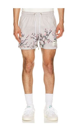 Cherry Blossom Shorts in . Size M. Also in L, XL/1X - Ryoko Rain - Modalova