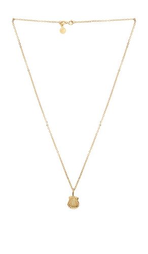 Conchita Necklace in - Studio Conchita - Modalova