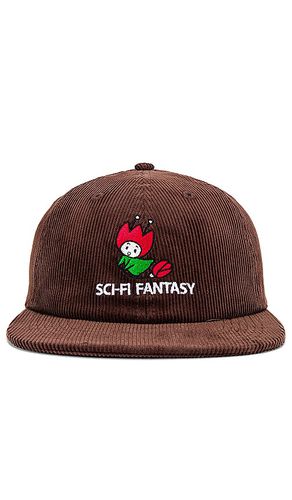 Sombrero en color talla all en - Brown. Talla all - SCI-FI FANTASY - Modalova