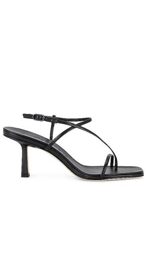 Cross Front 70 Heel in . Size 37, 38, 39, 40 - Studio Amelia - Modalova