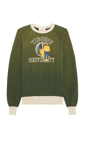 Tiburon Crewneck in . Size M, S, XL/1X - Samuel Zelig - Modalova