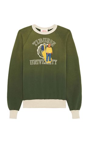 Tiburon Crewneck in . Size M, XL/1X - Samuel Zelig - Modalova