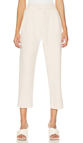 Market Pant in . Taglia 2 - Steve Madden - Modalova