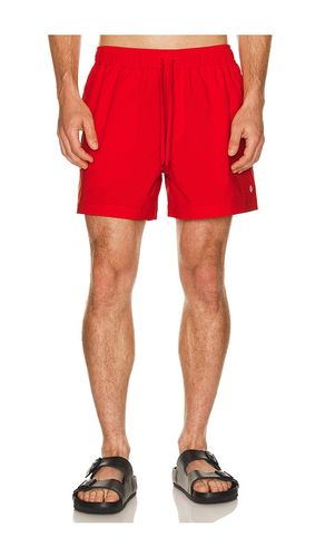 Moses Swim Shorts in . Size M. Also in L, XL/1X, XXL/2X - SAMSOE SAMSOE - Modalova