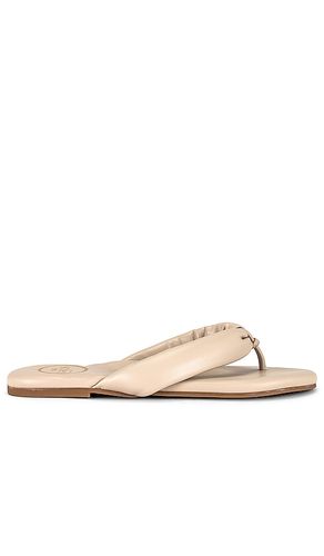 Gisel Sandal in . Size 10 - Solei Sea - Modalova